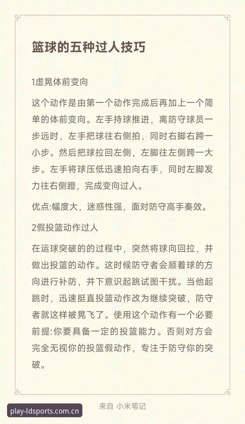 乐动体育下载使用技巧全面解析:从新手到高手的实战指南