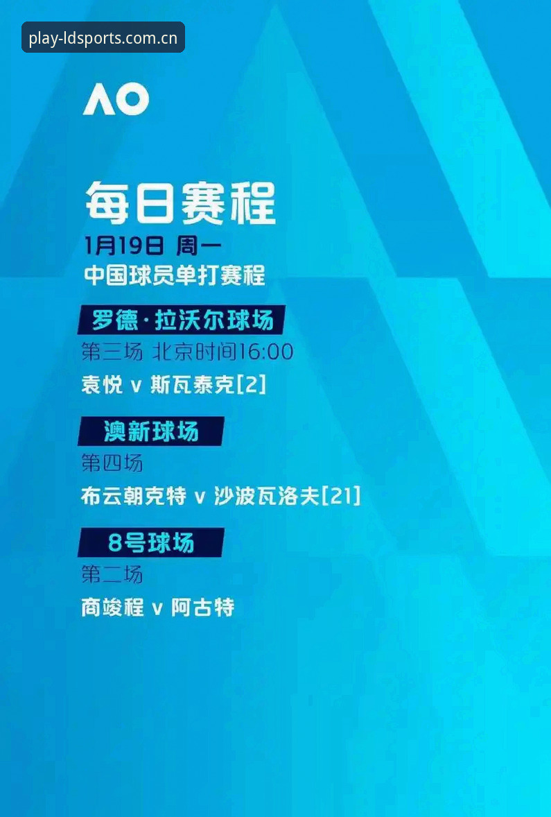 乐动体育平台全面解析：从版本更新到赛事分析的技术深度评测